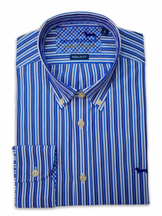 Blue striped buttoned down shirt